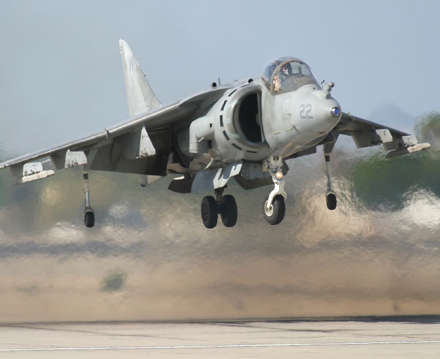 harrier