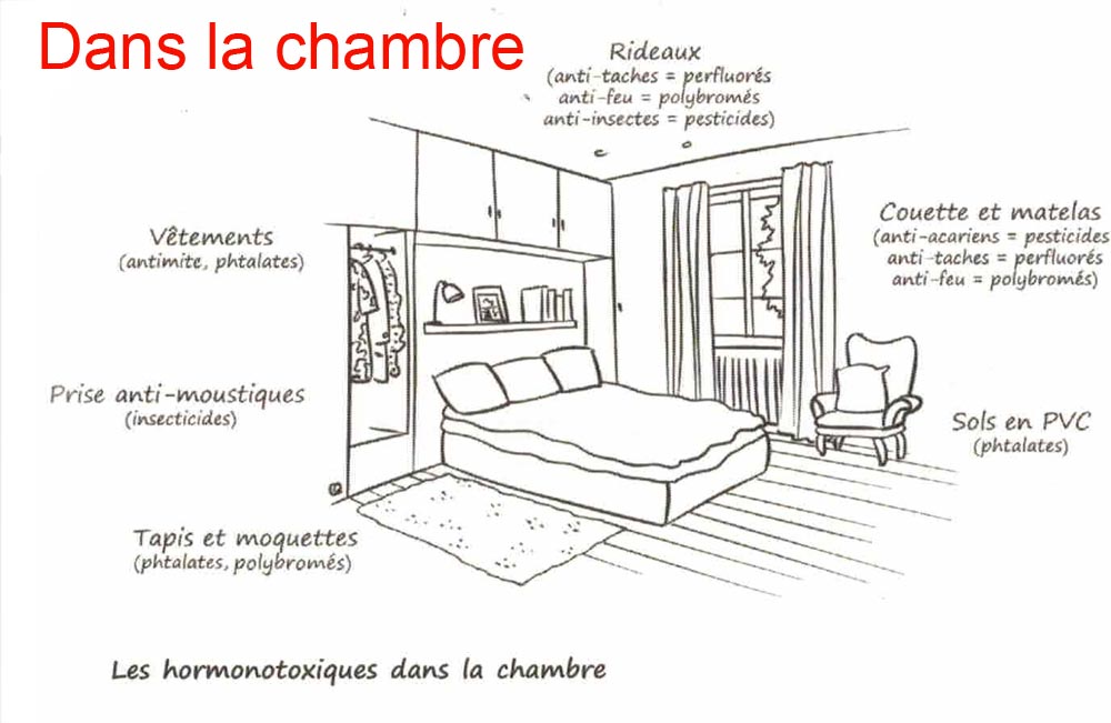 dans
        la chambre