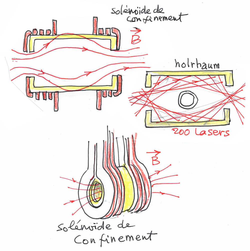 holrhaum