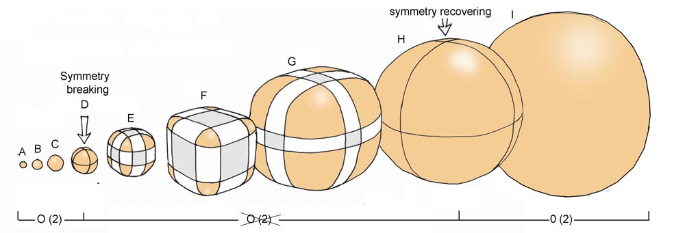 evolution_cubes_3_regimes