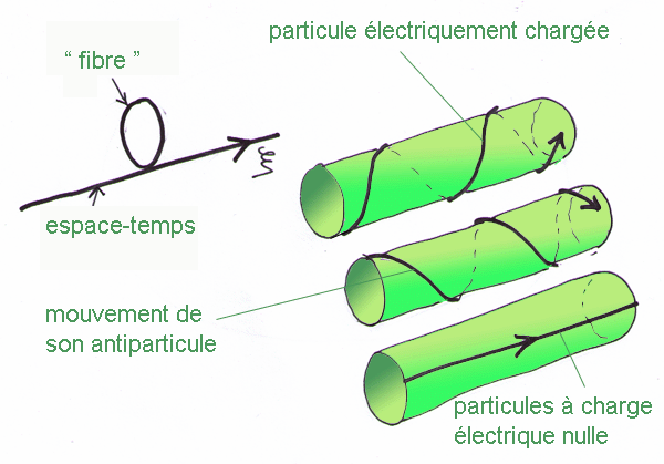 fibre_en_cercle