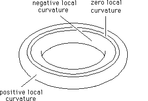 positively and negatively curved space
