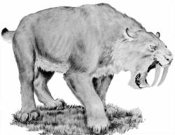 smilodon