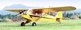 piper cub