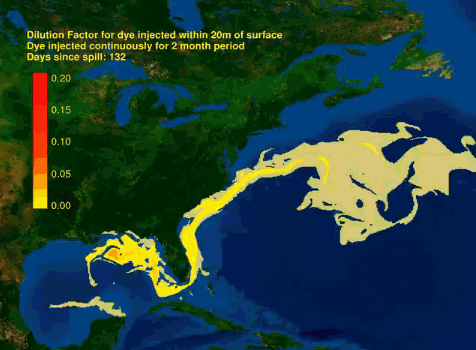 modelisation gulf stream