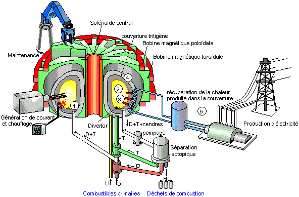 iter schéma officiel