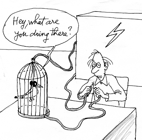 bird cage